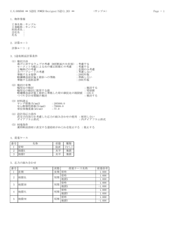 POWER-Designer/S造 出力例