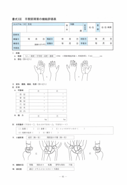 書式xm 手関節障害の機能評価表