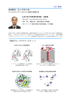 チャネルロドプシンのイオン輸送の理論化学