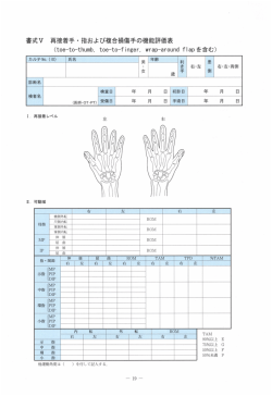 書式V 再接着手・指および複合損傷手の機能評価