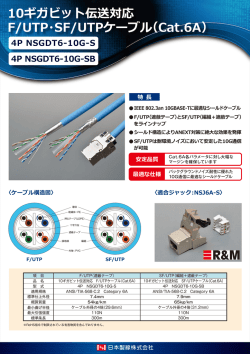 4P NSGDT6-10G-S 4P NSGDT6-10G-SB