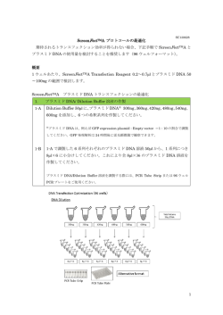 最適化プロトコール - ScreenFect