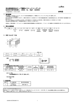 GA342A1XGF390JW31_ (4520, SL, 39pF, AC250V) 参考図 安全