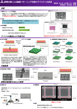誘電泳動による細胞パターニング可能なデバイスへの改良