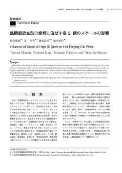 熱間鍛造金型の摩耗に及ぼす高 Si 鋼のスケールの影響