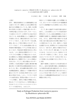 を用いたRhodobacter sphaeroides RVによる水素生産に関する研究