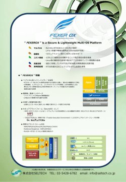 FEXEROX MIPS Product Brochure