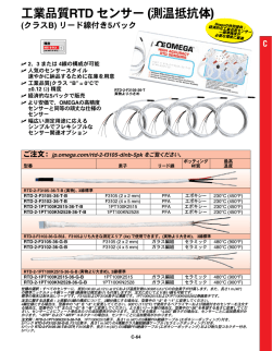工業品質RTD センサー (測温抵抗体)
