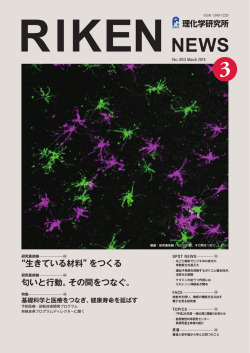 3月号 - 理化学研究所