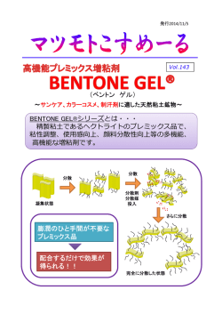 Vol.143：サンケア、カラーコスメ