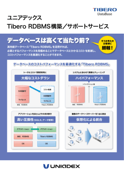 Tibero RDBMS構築