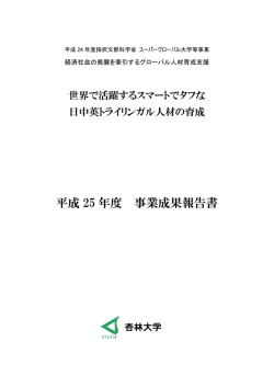 平成 25 年度 事業成果報告書