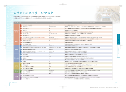 スクリーンマスクオプション表のPDF資料をダウンロード