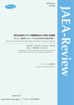 JAEA-Review-2014-006:4.61MB