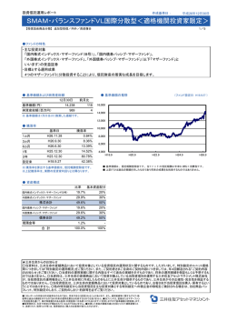 SMAM・バランスファンドVL国際分散型＜適格機関投資