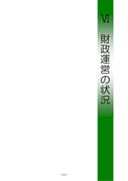 平成22年度予算の概要／VI 財政運営の状況(PDF)