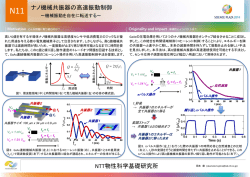 PDF - NTT物性科学基礎研究所