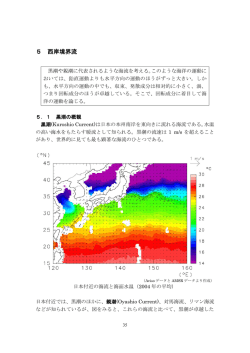 5 西岸境界流