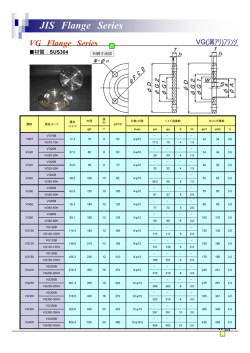 JIS Flange Series VG Flange Series