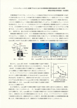 シリコンウェーハスピン乾燥プロセスにおける付着液滴の蒸発促進技術