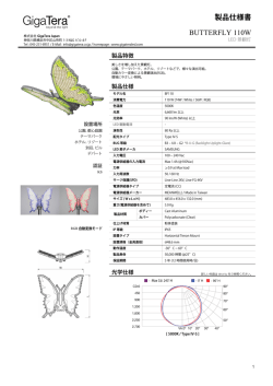 製品仕様書 BUTTERFLY 110W