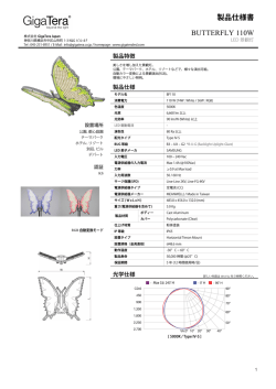 製品仕様書 BUTTERFLY 110W
