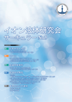 PDF(3.8M) - イオン液体研究会