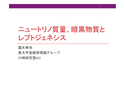 ニュートリノ質量、暗黒物質と レプトジェネシス