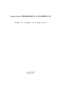 Wound retractor の胃内装着が有用であった巨大