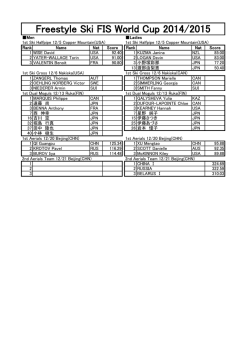 フリースタイル成績