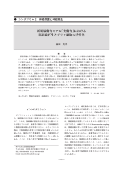 本文PDF [5905K] - J
