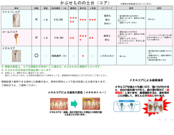 ファイバーコア *** 長持ち ー歯の根が折れるのを防ぐ ー肉 な丶 〝、 〝人