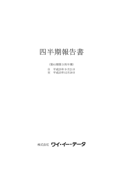 第3四半期報告書 - ワイ・イー・データ