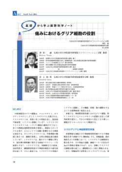 PDFをダウンロード（14 MB）