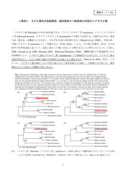遺存固有かつ新固有の状態のトゲネズミ類