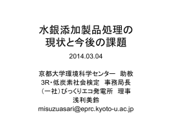 「水銀添加製品処理の現状と今後の課題」 [PDF 5434KB]