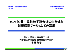 タンパク質- 磁性粒子複合体の生合成と 創薬探索ツール