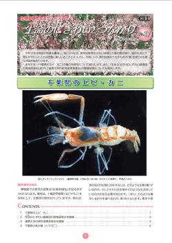 ニュースレター No.37 - 千葉県生物多様性センター/トップページ