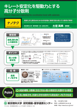 キレート安定化を駆動力とする 高分子分散剤