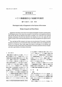 研究報文 マウス胸腺脂肪化の組織学的検討