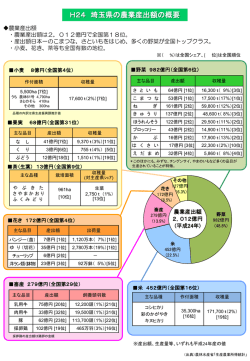 埼玉県の農業産出額や全国順位など（PDF：269KB）