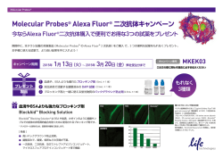 Molecular Probes® Alexa Fluor® 二次抗体キャンペーン