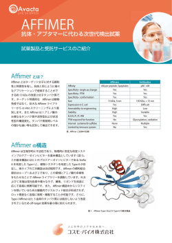 PDFダウンロード