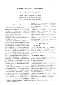 組織培養によるイチゴ・サトイモの大量増殖