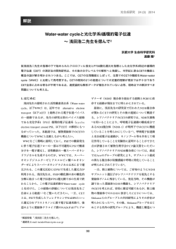 Water-water cycleと光化学系I循環的電子伝達