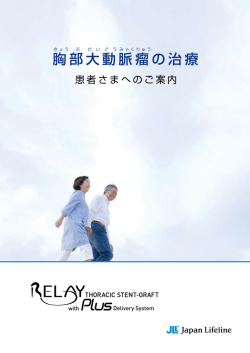 冊子PDF(ステントグラフト内挿術)