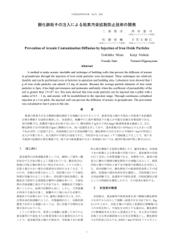 酸化鉄粒子の注入による砒素汚染拡散防止技術の開発