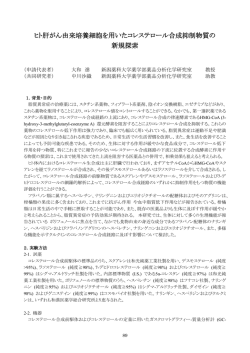 報告書ダウンロード