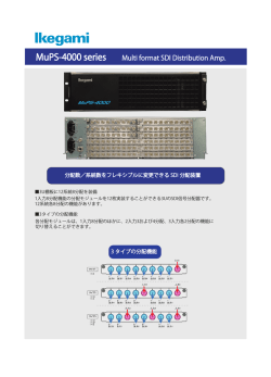 2MB (MuPS-4000 SDI)