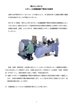腎がんに対する ロボット支援腹腔鏡下腎部分切除術